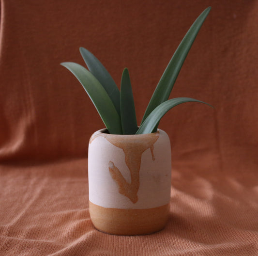 初心者におすすめ!陶芸デザインを始めるための7つのポイント