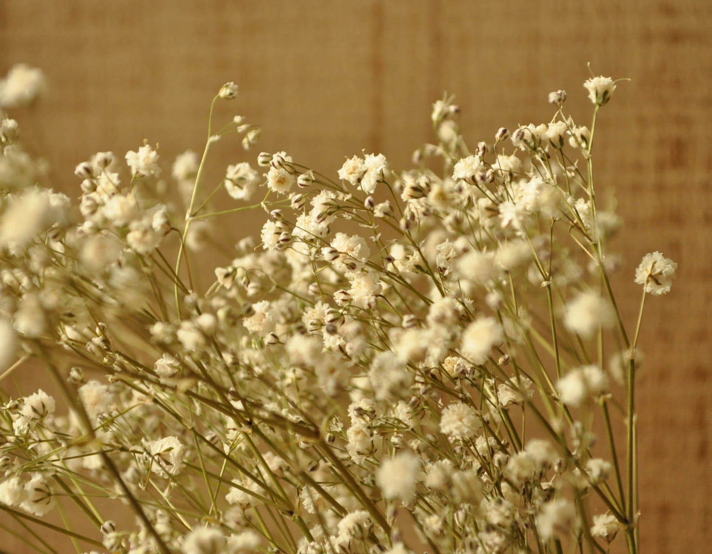 ころころ花びん3