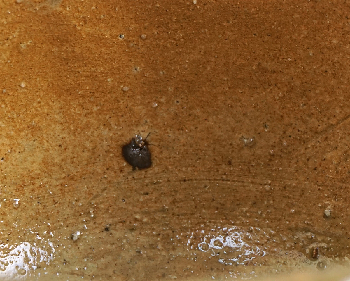 抹茶茶碗 12