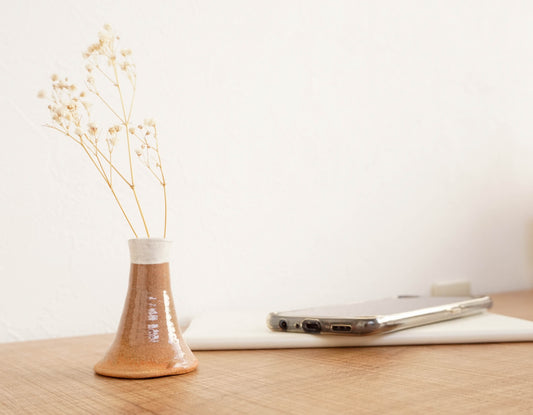Jarrón Flores secas